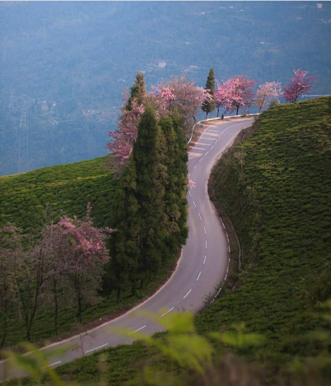 SOUTH & WEST OFFBEAT